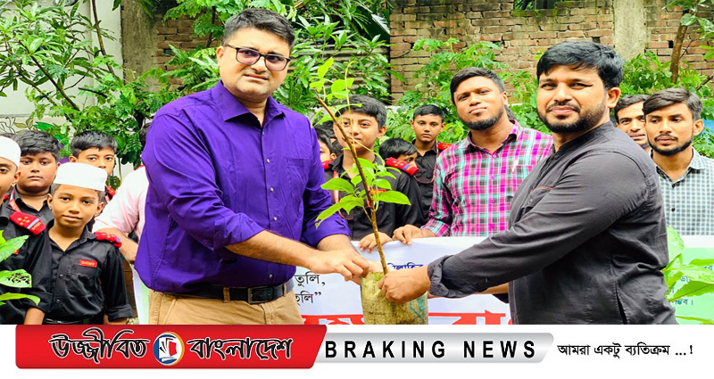 বীর মুক্তিযোদ্ধা গিয়াসউদ্দিন ইসলামিক মডেল স্কুলের আয়োজনে বৃক্ষরোপণ কর্মসূচি পালন
