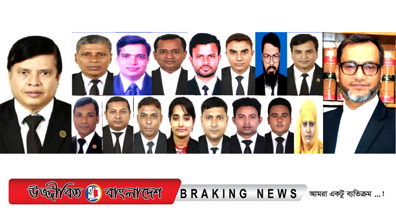 না.গঞ্জ আইনজীবী সমিতির নির্বাচনে হুমায়ূন-আনোয়ার প্যানেলের বিজয়