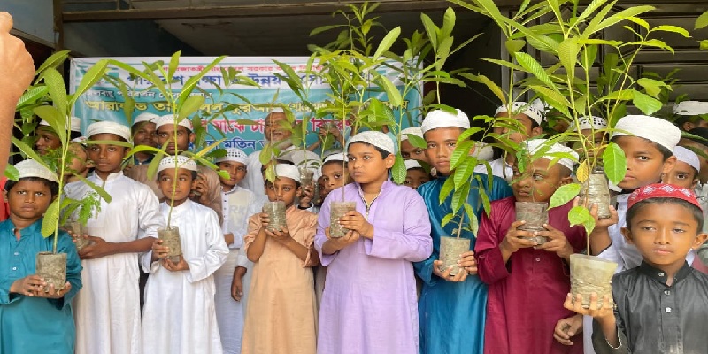 জলবায়ু পরিবর্তন মোকাবিলায় চারাগাছ বিতরণ কর্মসূচি