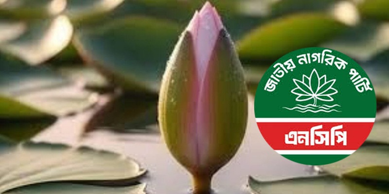 ‘শাপলা কলি’ প্রতীক গ্রহণ করছে এনসিপি