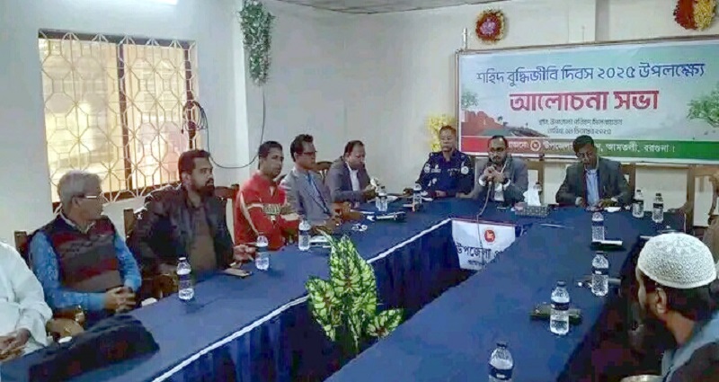 আমতলীতে শহীদ বুদ্ধিজীবি দিবস পালিত