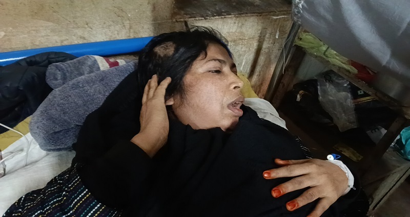 পূর্ব বিরোধের জের ধরে দুই ভাইয়ের হামলা : বোনকে কুপিয়ে জখম