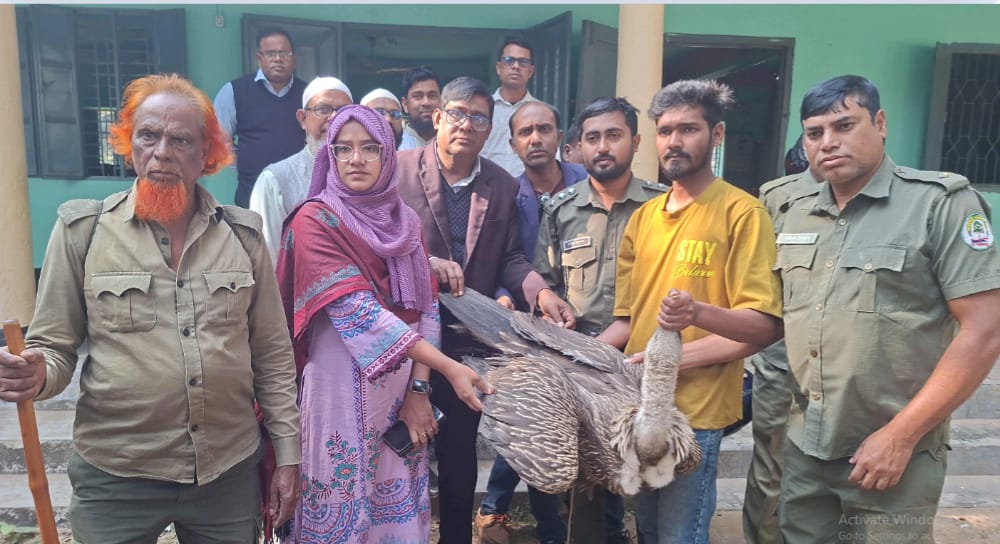 বকশীগঞ্জে বিরল প্রজাতির শকুন উদ্ধার, বন বিভাগের কাছে হস্তান্তর