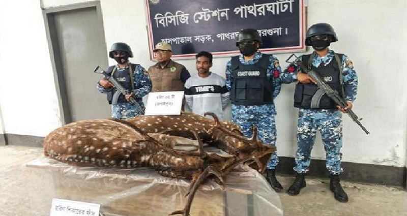 পাথরঘাটায় জবাই করা দুটি হরিন ও ফাঁদসহ আটক শিকারী কে ১ বছরের কারাদন্ড