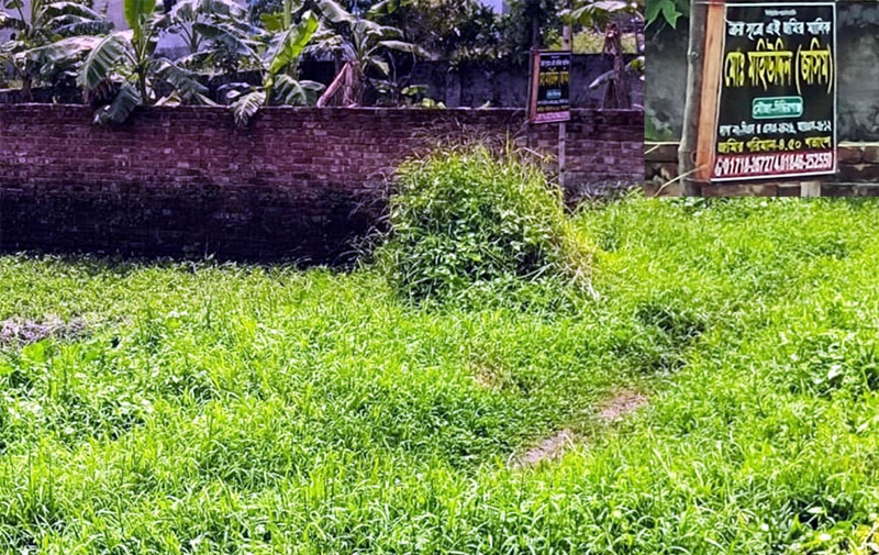 সিদ্ধিরগঞ্জের মিজমিজি দক্ষিনপাড়ায় জমি দখল চেষ্টা, থানায় অভিযোগ